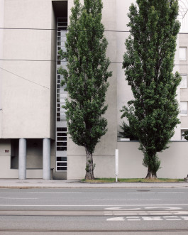 Lukas Büsse Fotografie