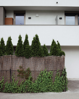 Lukas Büsse Fotografie