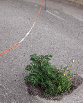 Lukas Büsse Fotografie