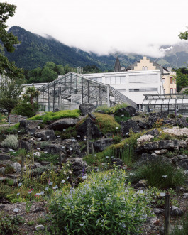 Lukas Büsse Fotografie