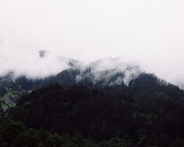 Lukas Büsse Fotografie