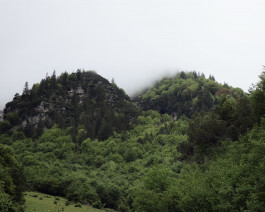 Lukas Büsse Fotografie