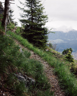 Lukas Büsse Fotografie