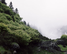 Lukas Büsse Fotografie