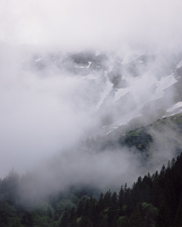 Lukas Büsse Fotografie