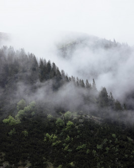 Lukas Büsse Fotografie