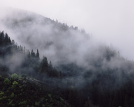 Lukas Büsse Fotografie
