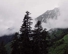 Lukas Büsse Fotografie