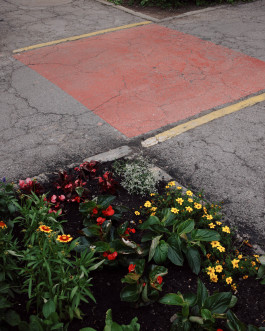 Lukas Büsse Fotografie