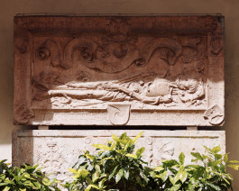 Lukas Büsse Fotografie