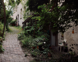 Lukas Büsse Fotografie