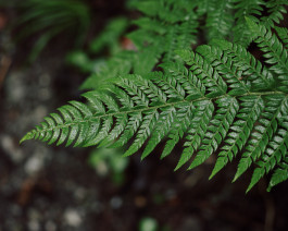 Lukas Büsse Fotografie