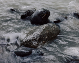 Lukas Büsse Fotografie