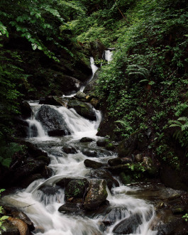 Lukas Büsse Fotografie