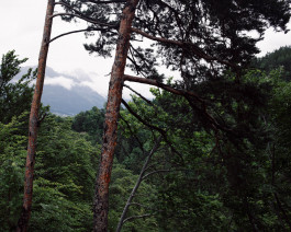 Lukas Büsse Fotografie
