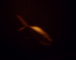 Lukas Büsse Fotografie